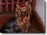 Pohodička...........