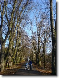 procházka Zámeckou álejí