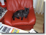 Že jsem ale fešák