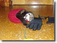 Davídek po náročné procházce.