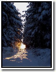 cesta do pohádky zlatem zdobená