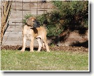 Krásný lednový den