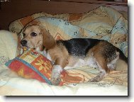 V peinch tam je hej...