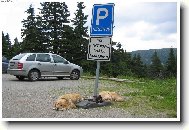 Reservé pro každého!