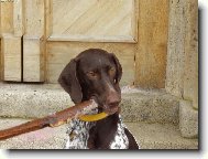 ! Klacek nikdy nepustím !