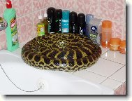 Tak tohle se jen tak nevidí!