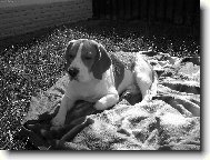 hluboké přemýšlení