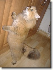 Dejte mi najíst !!!