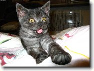 Jsem malej, ale šikovnej :)