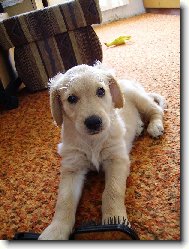 První den v novém domově