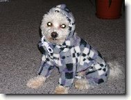 Na zimu jsem řádně vybaven.......