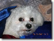 Nerušte mě od spánku....