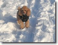 Sníh a zima,to je moje.